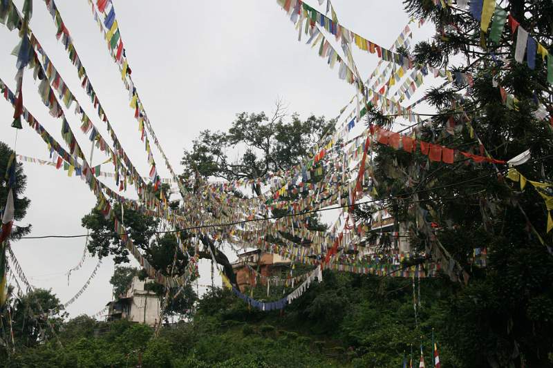 India & Nepal 2011 - 0371